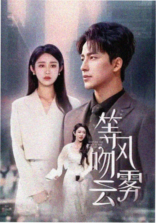 无声证词悬疑剧封面
