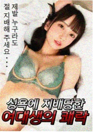 少年派二第二季推荐封面